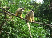 Enlarge photo 22