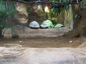 Enlarge photo 25