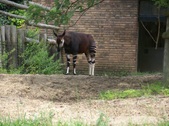 Enlarge photo 27
