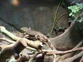 Enlarge photo 30