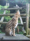 Enlarge photo 32