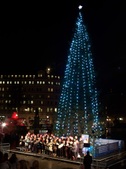 Enlarge photo 63