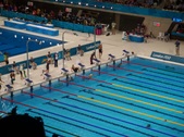 Enlarge photo 37