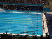 Enlarge photo 40
