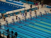 Enlarge photo 42