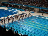 Enlarge photo 45