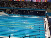Enlarge photo 46