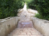 Enlarge photo 46