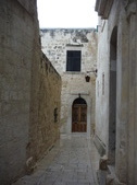 Enlarge photo 45