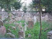 Enlarge photo 31