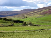 Enlarge photo 17