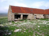 Enlarge photo 25