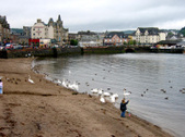 Enlarge photo 40