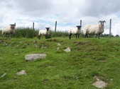 Enlarge photo 25