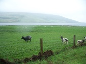 Enlarge photo 43