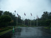 Enlarge photo 45