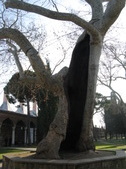 Enlarge photo 49