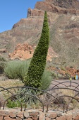 Enlarge photo 28