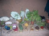 Enlarge photo 37