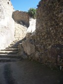 Enlarge photo 45