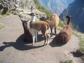Enlarge photo 63