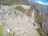Enlarge photo 65