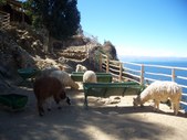Enlarge photo 17