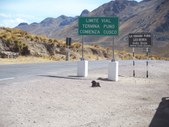 Enlarge photo 56