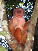 Puerto Maldonado