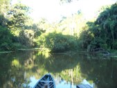 Enlarge photo 33