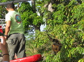 Enlarge photo 52