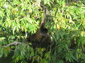 Enlarge photo 53