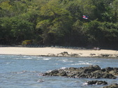 Enlarge photo 65