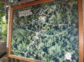 Enlarge photo 45