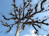 Enlarge photo 46