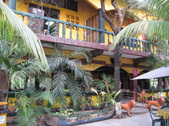 Enlarge photo 71