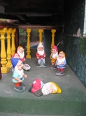Enlarge photo 73