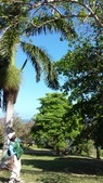 Enlarge photo 39