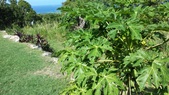 Enlarge photo 40