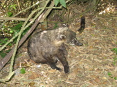 Enlarge photo 26