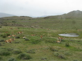 Enlarge photo 48