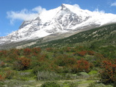 Enlarge photo 55