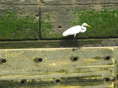 Enlarge photo 16
