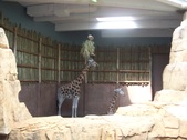 Enlarge photo 33
