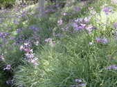 Enlarge photo 82