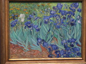 Enlarge photo 85