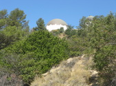 Enlarge photo 95