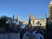 Enlarge photo 67