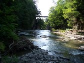 Enlarge photo 51