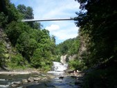 Enlarge photo 52